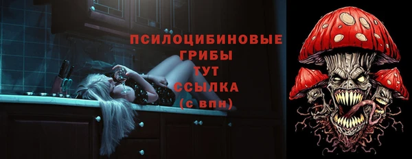 крисы Усмань
