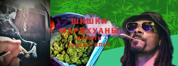 стафф Володарск